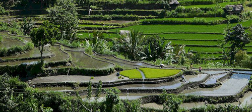 Bali - Photo d'un lieu visité en Bali