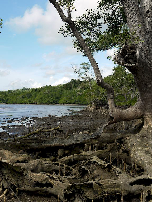 Pulakai et Gilimanuk - trekking 