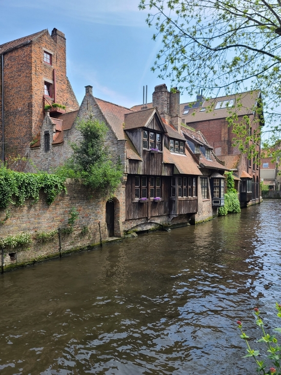 Bruges, la Venise du Nord 