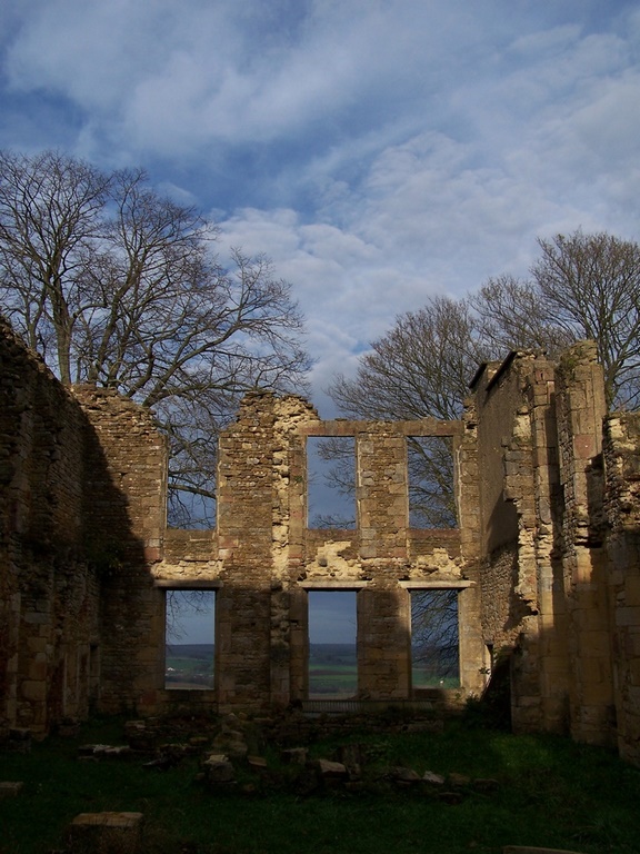 Montquintin et ses ruines 